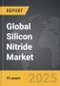 Silicon Nitride: Global Strategic Business Report - Product Thumbnail Image