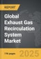 Exhaust Gas Recirculation System - Global Strategic Business Report - Product Thumbnail Image