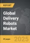 Delivery Robots - Global Strategic Business Report - Product Thumbnail Image