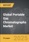 Portable Gas Chromatographs - Global Strategic Business Report - Product Thumbnail Image