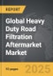 Heavy Duty Road Filtration Aftermarket - Global Strategic Business Report - Product Thumbnail Image