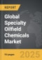 Specialty Oilfield Chemicals - Global Strategic Business Report - Product Thumbnail Image