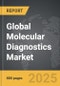 Molecular Diagnostics - Global Strategic Business Report - Product Thumbnail Image