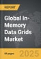 In-Memory Data Grids - Global Strategic Business Report - Product Image