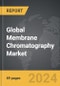 Membrane Chromatography - Global Strategic Business Report - Product Thumbnail Image