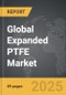 Expanded PTFE (ePTFE) - Global Strategic Business Report - Product Image