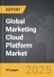 Marketing Cloud Platform - Global Strategic Business Report - Product Thumbnail Image