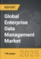 Enterprise Data Management - Global Strategic Business Report - Product Thumbnail Image