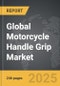 Motorcycle Handle Grip - Global Strategic Business Report - Product Thumbnail Image