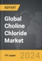 Choline Chloride: Global Strategic Business Report - Product Thumbnail Image