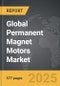 Permanent Magnet Motors - Global Strategic Business Report - Product Image