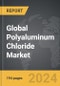 Polyaluminum Chloride: Global Strategic Business Report - Product Thumbnail Image
