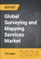 Surveying and Mapping Services - Global Strategic Business Report - Product Thumbnail Image