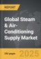 Steam & Air-Conditioning Supply - Global Strategic Business Report - Product Image