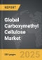 Carboxymethyl Cellulose (CMC): Global Strategic Business Report - Product Thumbnail Image