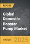 Domestic Booster Pump: Global Strategic Business Report - Product Thumbnail Image