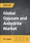 Gypsum and Anhydrite - Global Strategic Business Report - Product Image