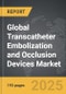 Transcatheter Embolization and Occlusion Devices: Global Strategic Business Report - Product Thumbnail Image