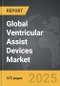 Ventricular Assist Devices - Global Strategic Business Report - Product Thumbnail Image