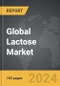 Lactose: Global Strategic Business Report - Product Image