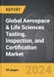 Aerospace & Life Sciences Testing, Inspection, and Certification - Global Strategic Business Report - Product Image