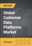 Customer Data Platforms: Global Strategic Business Report- Product Image