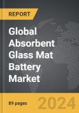 Absorbent Glass Mat (AGM) Battery - Global Strategic Business Report- Product Image