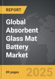 Absorbent Glass Mat (AGM) Battery - Global Strategic Business Report- Product Image