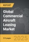 Commercial Aircraft Leasing: Global Strategic Business Report - Product Thumbnail Image