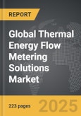 Thermal Energy Flow Metering Solutions: Global Strategic Business Report- Product Image