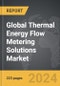 Thermal Energy Flow Metering Solutions: Global Strategic Business Report - Product Image