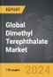 Dimethyl Terephthalate - Global Strategic Business Report - Product Thumbnail Image