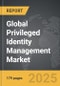 Privileged Identity Management - Global Strategic Business Report - Product Thumbnail Image