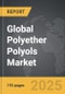 Polyether Polyols: Global Strategic Business Report - Product Thumbnail Image