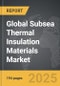 Subsea Thermal Insulation Materials - Global Strategic Business Report - Product Thumbnail Image