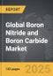 Boron Nitride and Boron Carbide - Global Strategic Business Report - Product Image