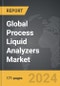 Process Liquid Analyzers - Global Strategic Business Report - Product Thumbnail Image