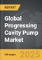 Progressing Cavity Pump - Global Strategic Business Report - Product Thumbnail Image