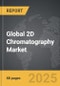 2D Chromatography: Global Strategic Business Report - Product Thumbnail Image