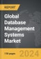 Database Management Systems (DBMS): Global Strategic Business Report - Product Thumbnail Image