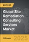 Site Remediation Consulting Services - Global Strategic Business Report - Product Thumbnail Image