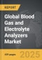 Blood Gas and Electrolyte Analyzers - Global Strategic Business Report - Product Thumbnail Image