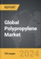 Polypropylene: Global Strategic Business Report - Product Thumbnail Image