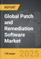 Patch and Remediation Software - Global Strategic Business Report - Product Image