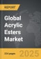 Acrylic Esters: Global Strategic Business Report - Product Thumbnail Image