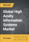 High Acuity Information Systems - Global Strategic Business Report - Product Image