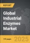 Industrial Enzymes: Global Strategic Business Report - Product Thumbnail Image