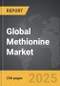 Methionine - Global Strategic Business Report - Product Thumbnail Image