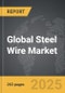 Steel Wire - Global Strategic Business Report - Product Image