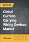 Current-Carrying Wiring Devices - Global Strategic Business Report - Product Thumbnail Image